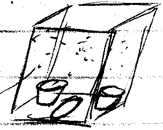 rozm�st�n� much na z�chod�